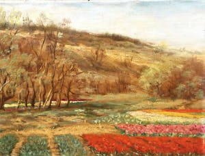 Niet of onleesbaar gesigneerd - C3699, bloemenbollenveldjes bij de heuvel kopen? Bied vanaf 10!