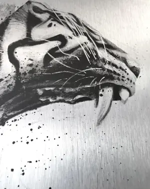 Sidney Waerts - Haiiro No Kaze nr 2 - Tijger kopen? Bied vanaf 150!