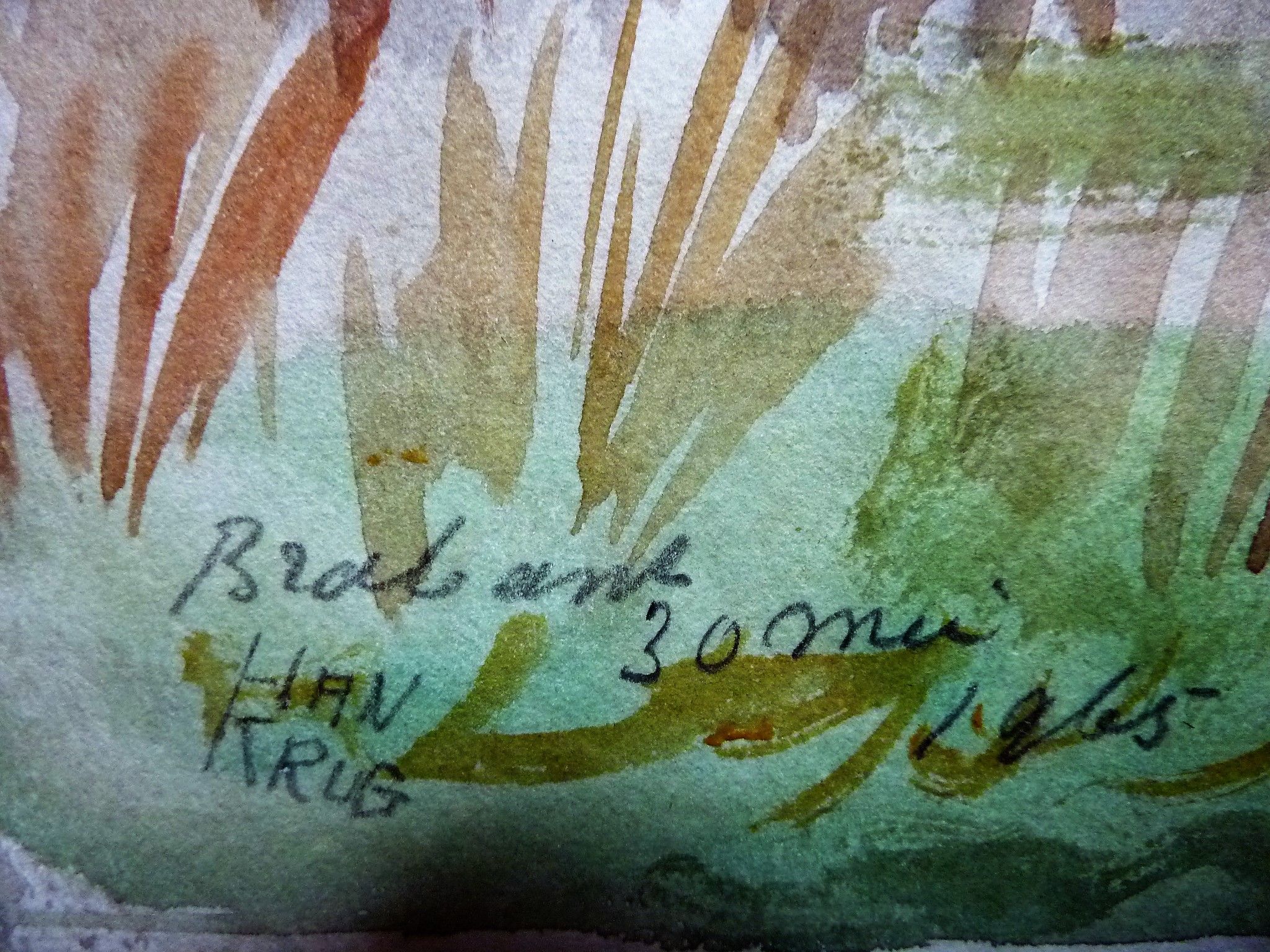 Han Krug - Grote aquarel "Brabant" 1965 kopen? Bied vanaf 50!