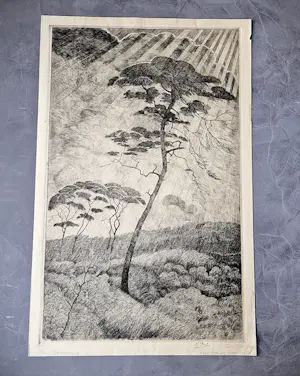 Adrianus Johannes Grootens - Nieuwe zakelijkheid Ets "paraplu bomen Afrika" 3e staat unica - gesigneerd kopen? Bied vanaf 34!