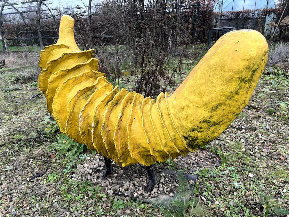 Lotje de Lussanet (1952)