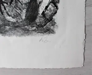 Werner Liebmann - „Der Wald" - Lithographie - Auflage von 22 - signiert kopen? Bied vanaf 120!