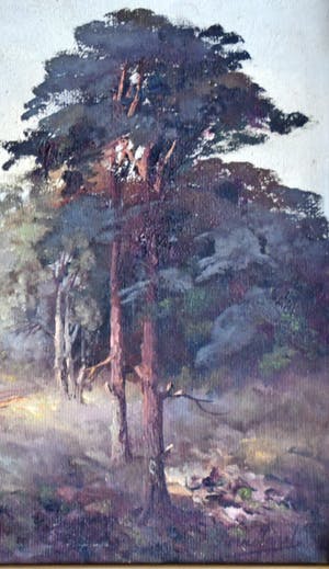 Adriaan Terhell - Boslandschap kopen? Bied vanaf 50!