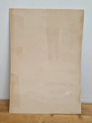 Cees Tromp - Stilleven met droogbloemen kopen? Bied vanaf 50!