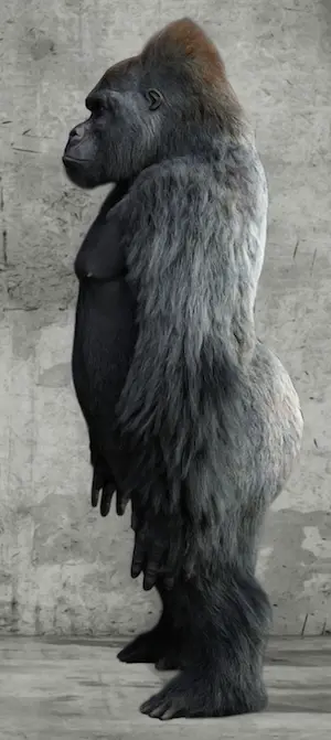 Mr. Strange - The Beauty and the Beast kopen? Bied vanaf 80!