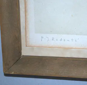 Pierre-Joseph Redoute - litho Rozen kopen? Bied vanaf 35!
