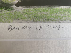 Corneille - Corneille - Johan Cruijff en Rinus Michels kopen? Bied vanaf 600!