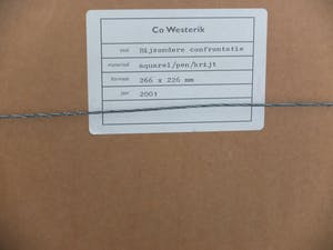 Co Westerik - Bijzondere confrontatie kopen? Bied vanaf 1100!