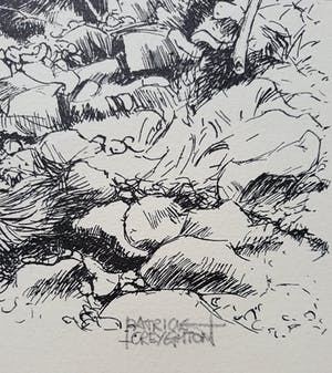 Patrick Creyghton - Boomstronk, litho kopen? Bied vanaf 50!