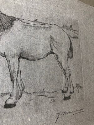 Jan Mankes - ets Paard - 1917 kopen? Bied vanaf 450!