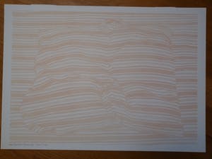 Har Sanders - INGEDUT KUSSEN kopen? Bied vanaf 55!