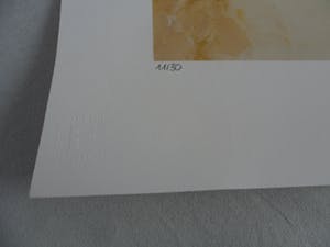 Armando - Kleuren Giclee. Titel, "Weisse Gestaltung". Hand gesigneerd SLECHTS 30 EX!!! kopen? Bied vanaf 70!