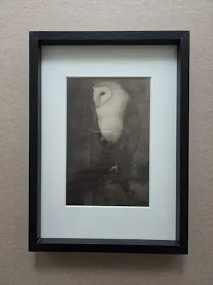 Jan Mankes - Uil op boomtak. Werk uit 1913. kopen? Bied vanaf 99!