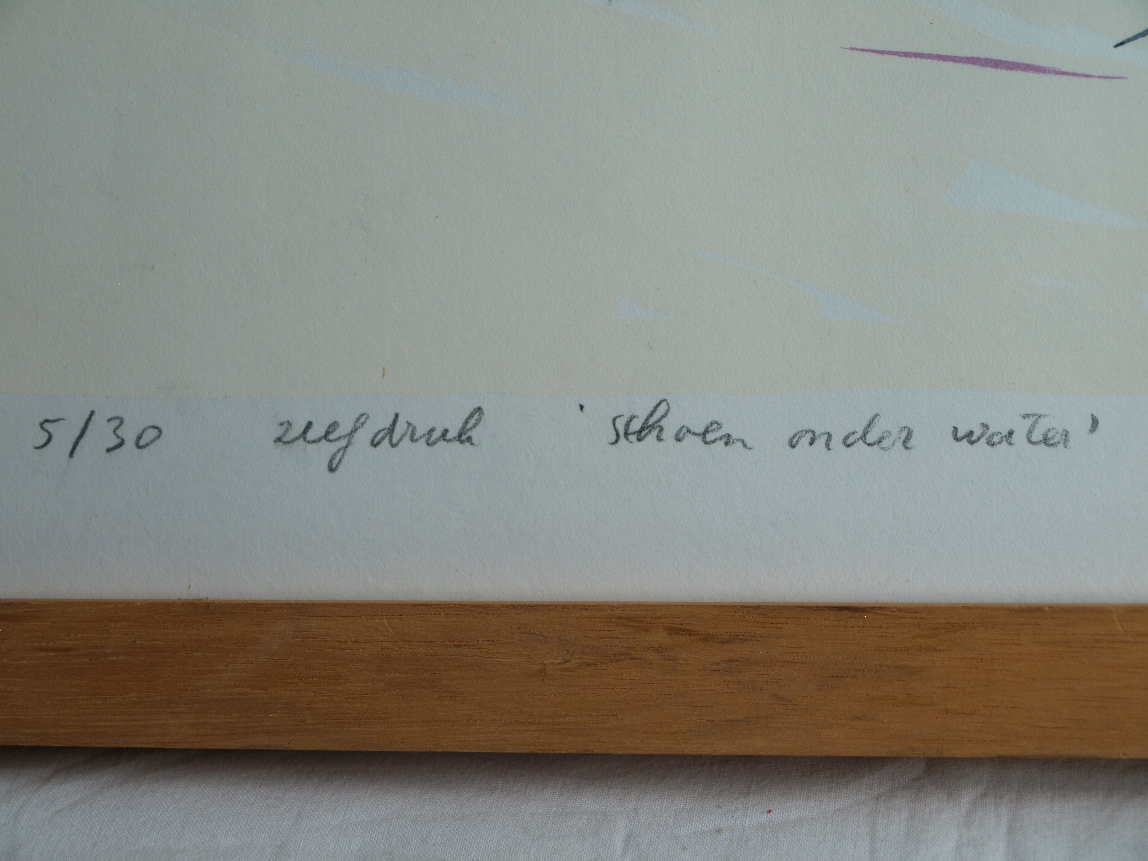 Frank Daalder - Zeefdruk , Schoen onder water – gesigneerd & ingelijst - 1977  kopen? Bied vanaf 1!