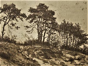 Martin van Waning - Mooie grote Droge Naald Ets - Duinlandschap Schiermonnikoog - gesigneerd kopen? Bied vanaf 29!