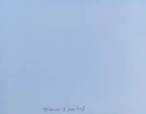 Henk Peeters - Zeefdruk: Yvonne - 3 positief - 2001 kopen? Bied vanaf 250!