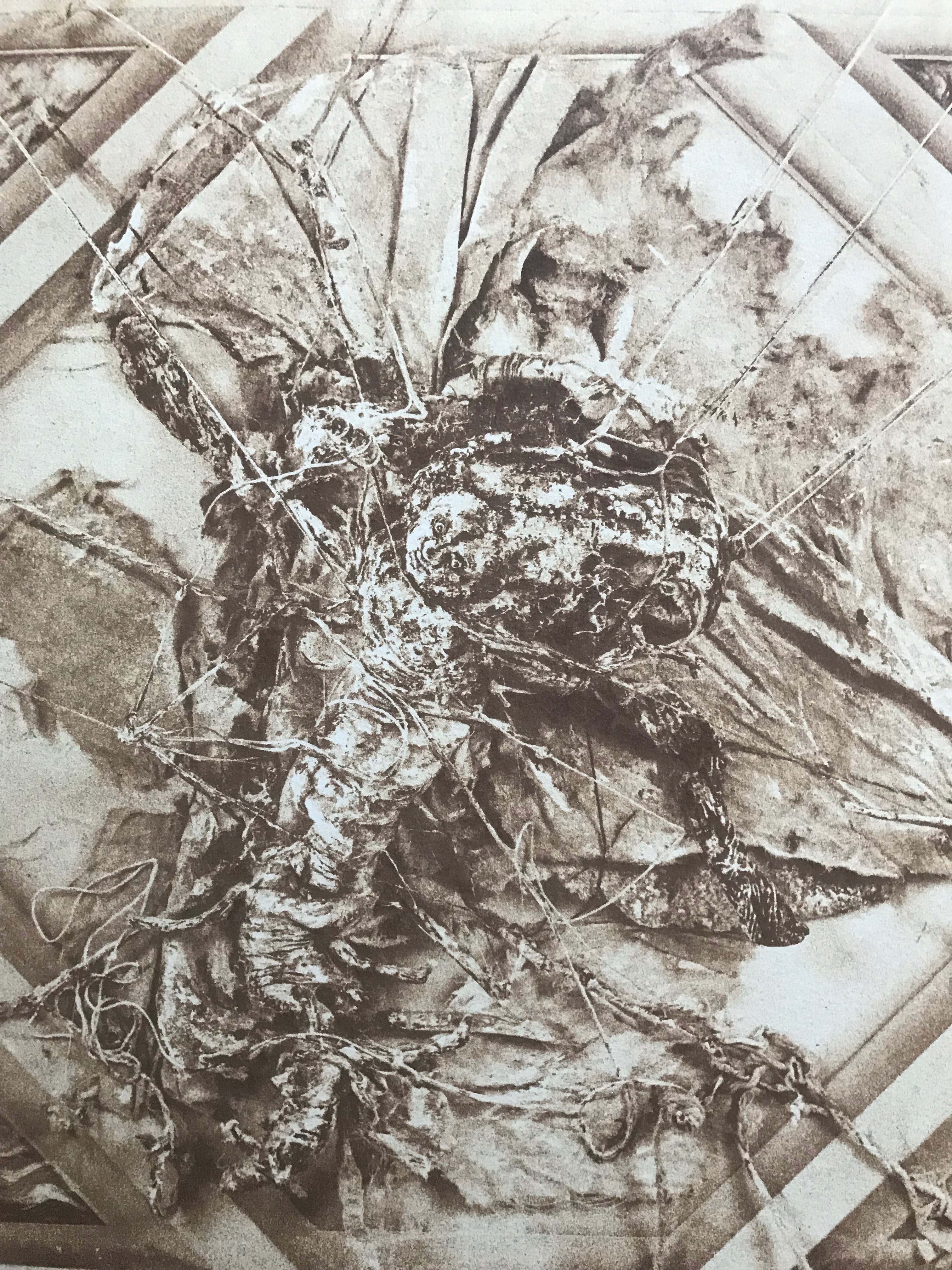 Wilfried Pas - Wilfried Pas - Mooie zeldzame litho - Gesigneerd - 105/150 kopen? Bied vanaf 75!