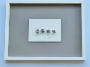Jan Henderikse - Shredded dollar bills in tubes ( met lijst) kopen? Bied vanaf 325!