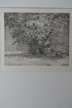 Reinder Homan - LANDSCHAP kopen? Bied vanaf 65!