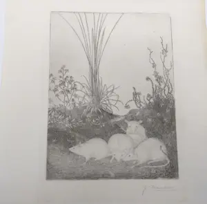 Jan Mankes - 4 muizen in het bos kopen? Bied vanaf 20!