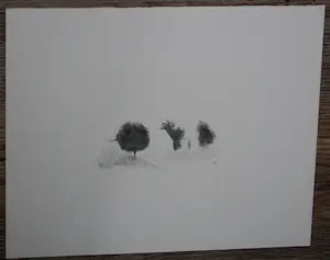 Metten Koornstra - Litho: landschap kopen? Bied vanaf 50!