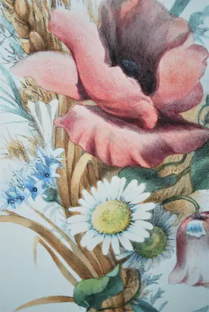 Pauline Girardin - Kleurenlitho wilde bloemen, 19e eeuw, handgesigneerd kopen? Bied vanaf 35!