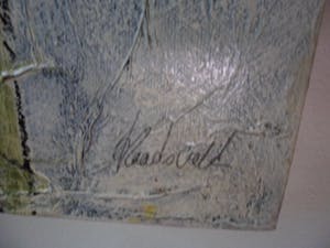 Carla Raadsveld - Acryl op doek, "Aronskelken". kopen? Bied vanaf 100!