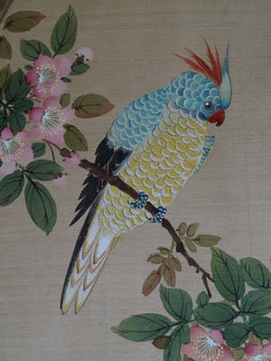 Niet of onleesbaar gesigneerd - Ingelijste aquarel op zijde, Japan? China? , Papagaai kopen? Bied vanaf 1!