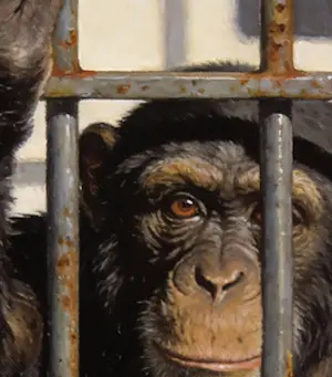 Mr Strange - Rot op! kopen? Bied vanaf 80!