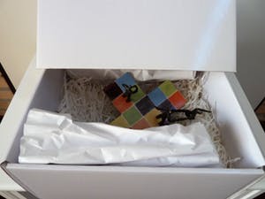 Corry Ammerlaan - "PLEIN van BEZINNING" Door samenwerken een toekomst creèren. kopen? Bied vanaf 25!