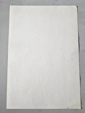 Carla Kleekamp - Unieke (1 exemplaar) - handgekleurde Ets & Aquatint - GROOT! kopen? Bied vanaf 24!