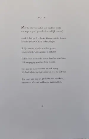 Reinhoud D'Haese - kleurenets, Titel: Rouw, CoBrA, oplage 40 stuks, ingelijst kopen? Bied vanaf 160!