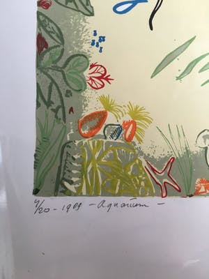 Arnold van Griensven - Aquarium kopen? Bied vanaf 100!