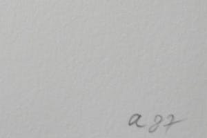 Armando - Der Baum kopen? Bied vanaf 1!