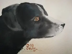 Jan van Riel - Hond. 'Polly'. 1951 kopen? Bied vanaf 69!