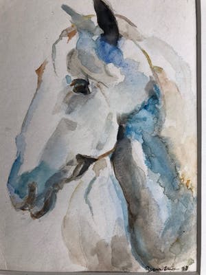 Bertus Voortman - Paard kopen? Bied vanaf 10!