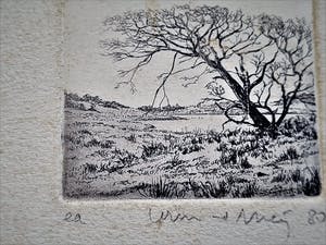 Wim van der Meij - Mooie Ets - uniek e.a. exemplaar - "landschap" - potloodgesigneerd kopen? Bied vanaf 21!
