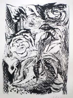 Dick Elffers - Vegetatie - Litho verkocht voor € 35!