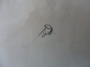 Tini van Doornik - Pastel/Krijt. Paardenhoofd. kopen? Bied vanaf 15!