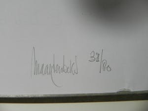 Maarten Beks - Reisdagen kopen? Bied vanaf 1!