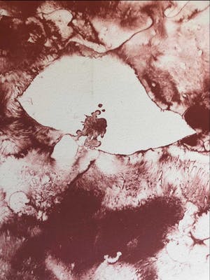 Armando - Litho, Der Kopf Rot (Groot!) kopen? Bied vanaf 350!