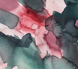 Kees van de Wetering - Flowers kopen? Bied vanaf 150!