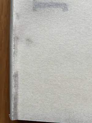 Jan van Munster - UITGAVE MET PYROGRAFIEËN. kopen? Bied vanaf 150!