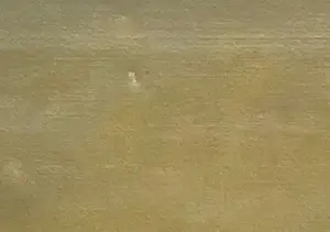 Thomas van Wissen - Het landschap kopen? Bied vanaf 35!