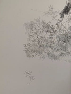 Peter Vos - De ontdekking van de giraffe kopen? Bied vanaf 35!