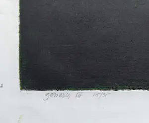Ru van Rossem - Genesis, aquatint ets met reliëfdruk kopen? Bied vanaf 125!