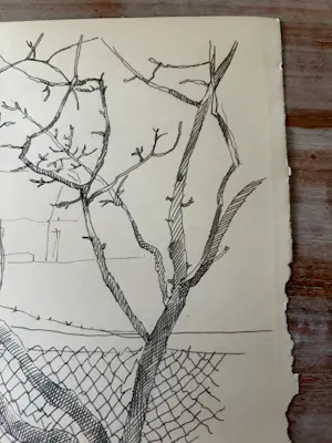 Herman Bieling - Tekening/studietekening Boom met voederhuisje, tekening verso kopen? Bied vanaf 40!