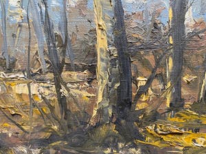 Emiel Lammers - sous bois kopen? Bied vanaf 35!