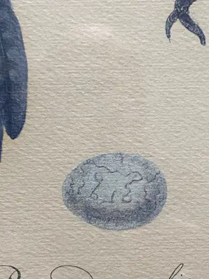 Jan Christiaan Sepp - Fraaie litho naar Jan Christiaan Sepp & Nozeman 18e eeuw kopen? Bied vanaf 40!