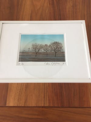 Hans Heijman - Handgesigneerde kleurenets z.t. kopen? Bied vanaf 35!